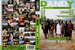 DANDY-342